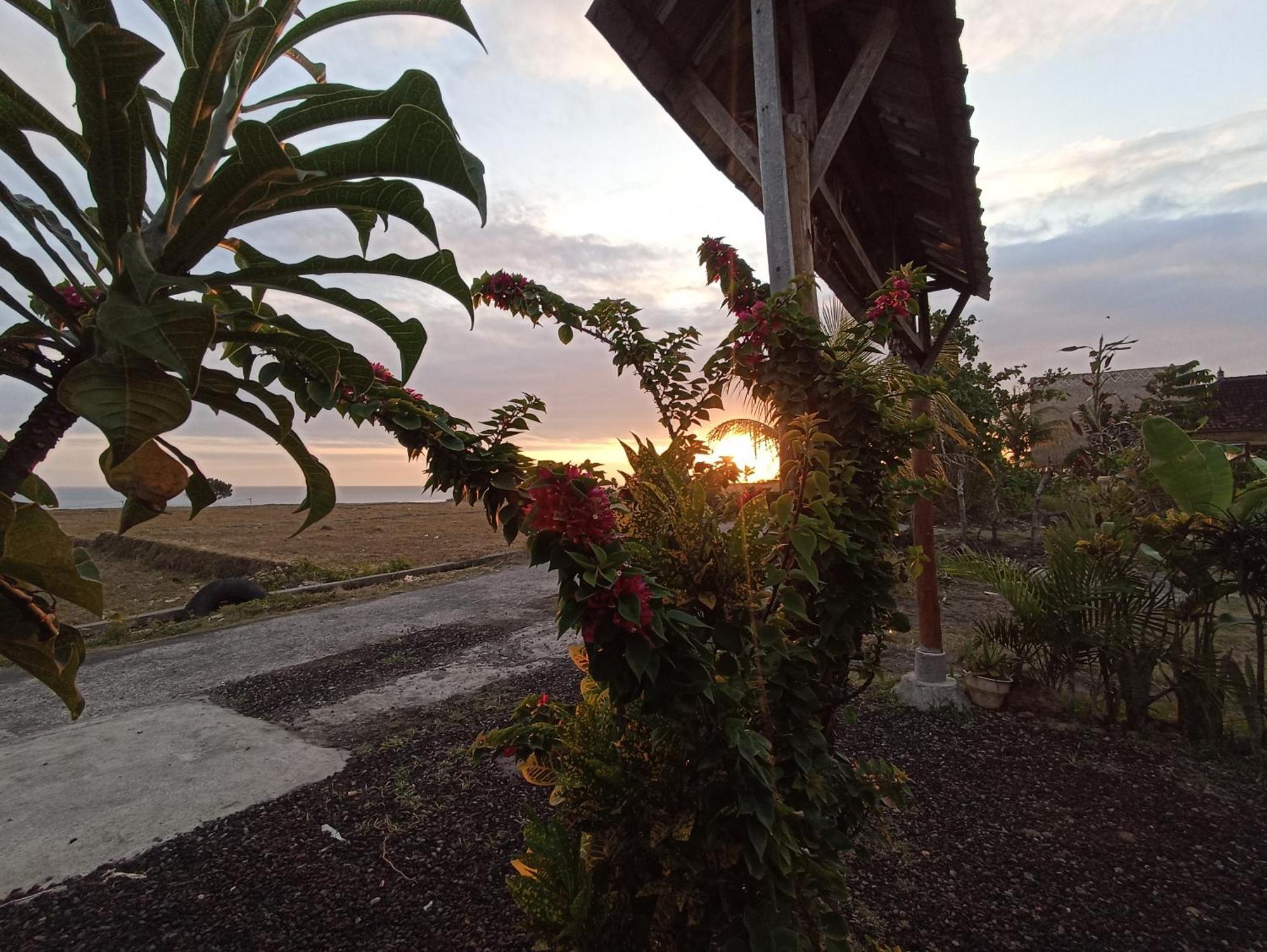 Ayolah Surf House &Surf Camp Apartment Jembrana  Exterior photo