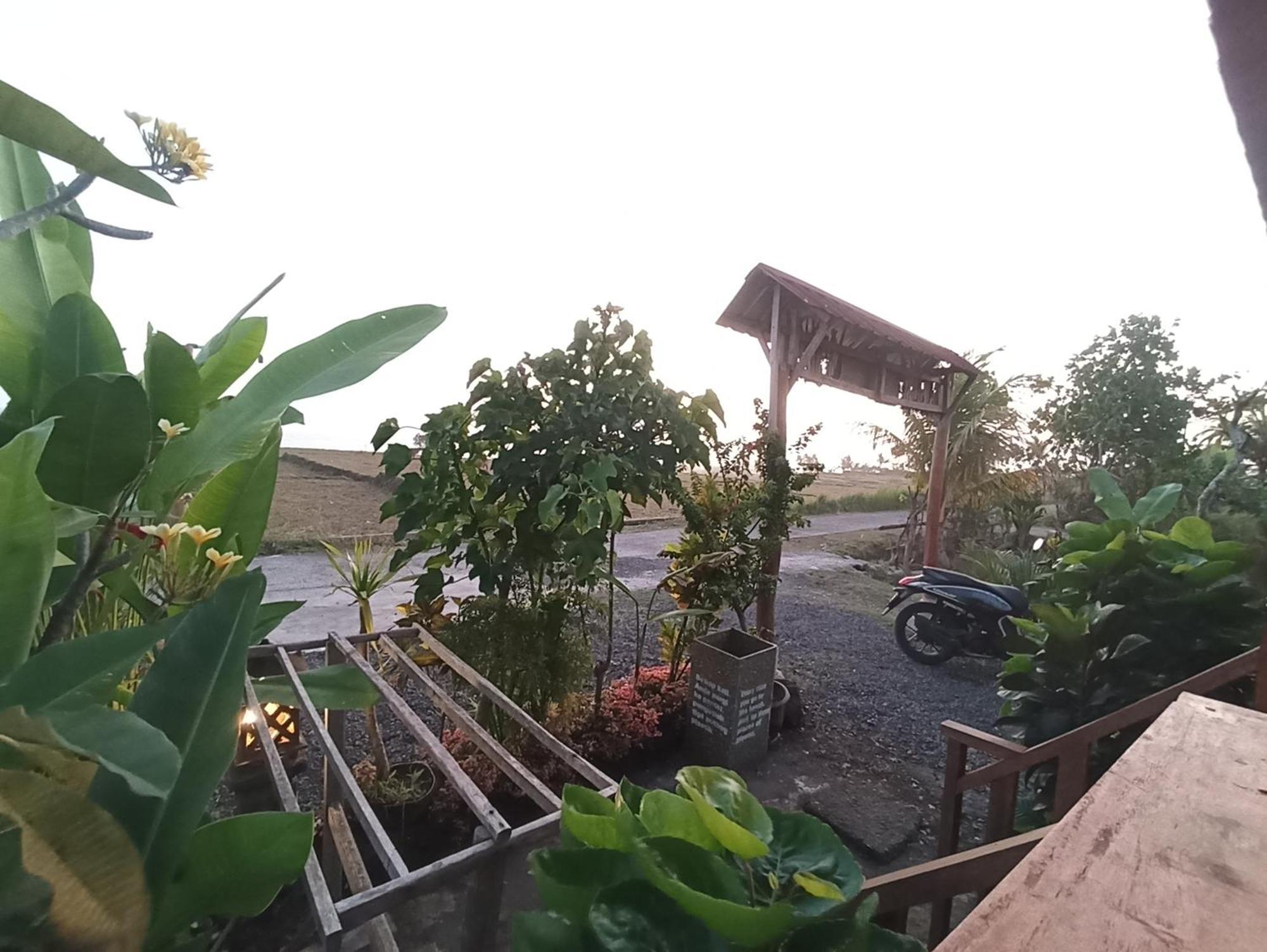 Ayolah Surf House &Surf Camp Apartment Jembrana  Exterior photo
