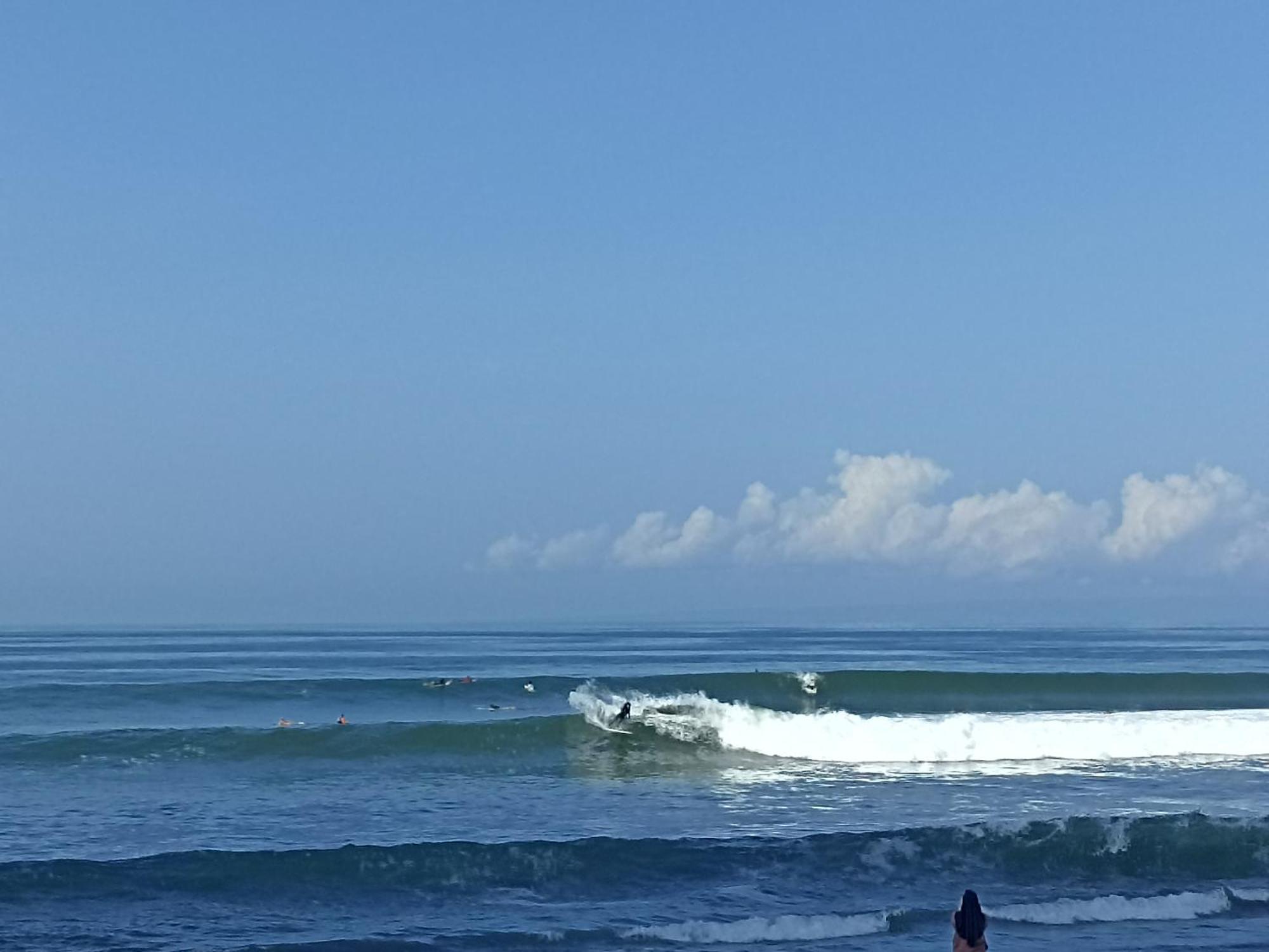 Ayolah Surf House &Surf Camp Apartment Jembrana  Exterior photo